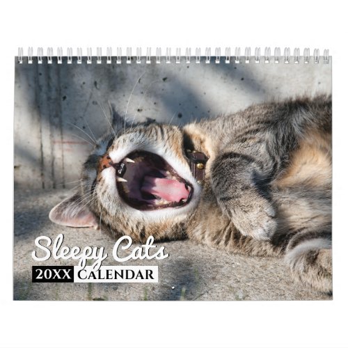 Sleepy Cats Photo Wall Calendar