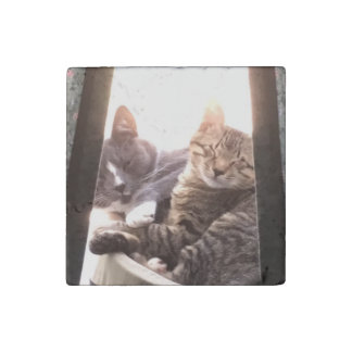 sleepy cats stone magnet
