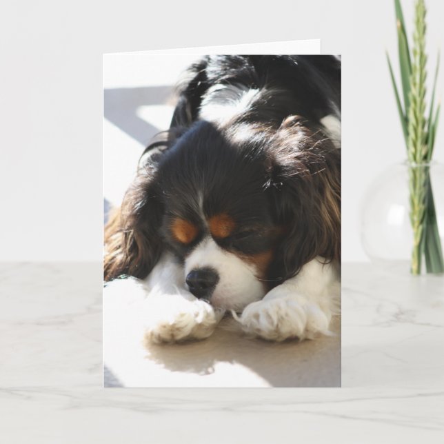 Sleepy Cavalier Card (Front)
