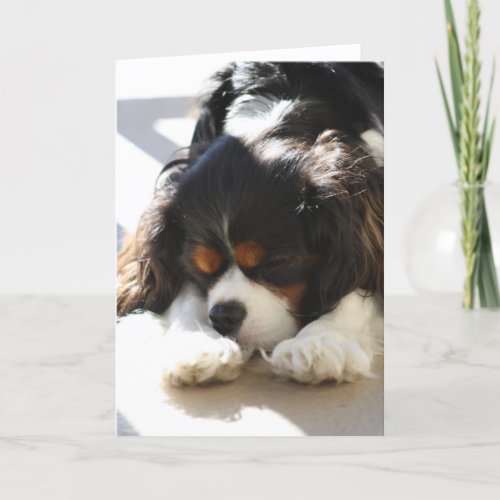 Sleepy Cavalier Card