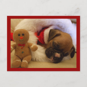 Sleepy Christmas Boxer Puppy postcard