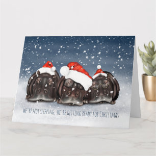 Sleepy Christmas Hippo Trio Christmas Card