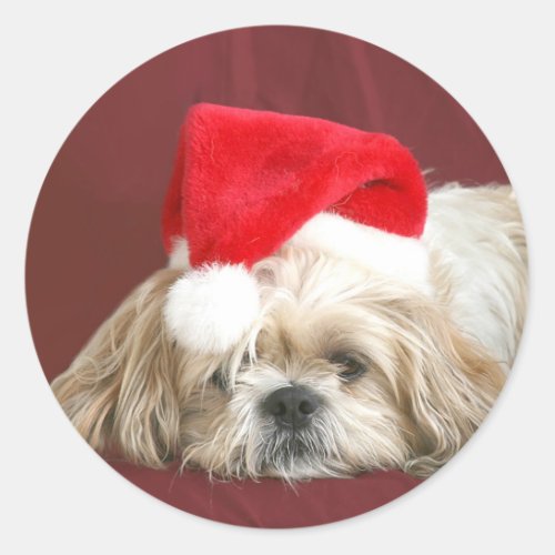 Sleepy Christmas Shih Tzu Classic Round Sticker