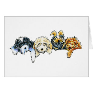 Sleepy Cockapoos Cards