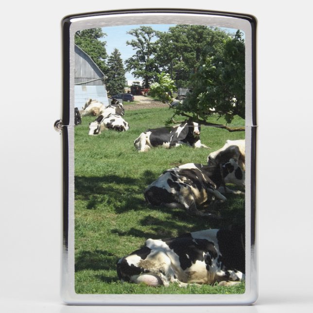 Sleepy Cows on the Farm Zippo Lighter (Front)