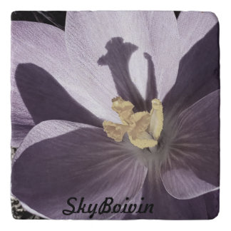 sleepy Crocus Poster Trivet