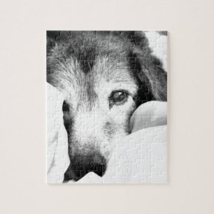 sleepy cuddle dog on bed black white jigsaw puzzle