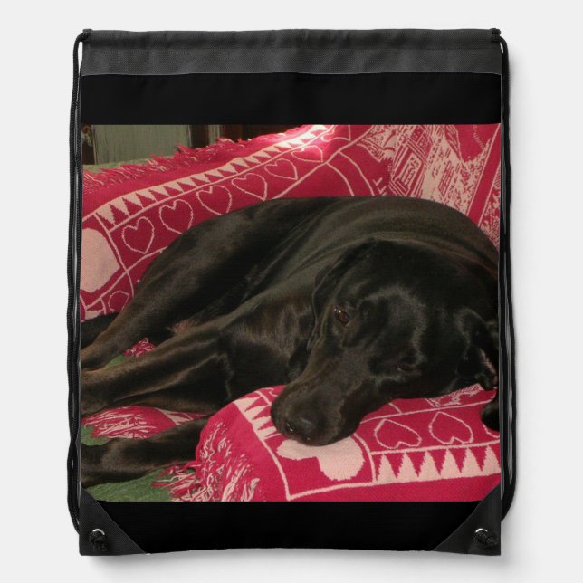 Sleepy Dog Backpack (Front)