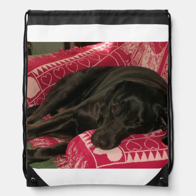 Sleepy Dog Backpack (Front)