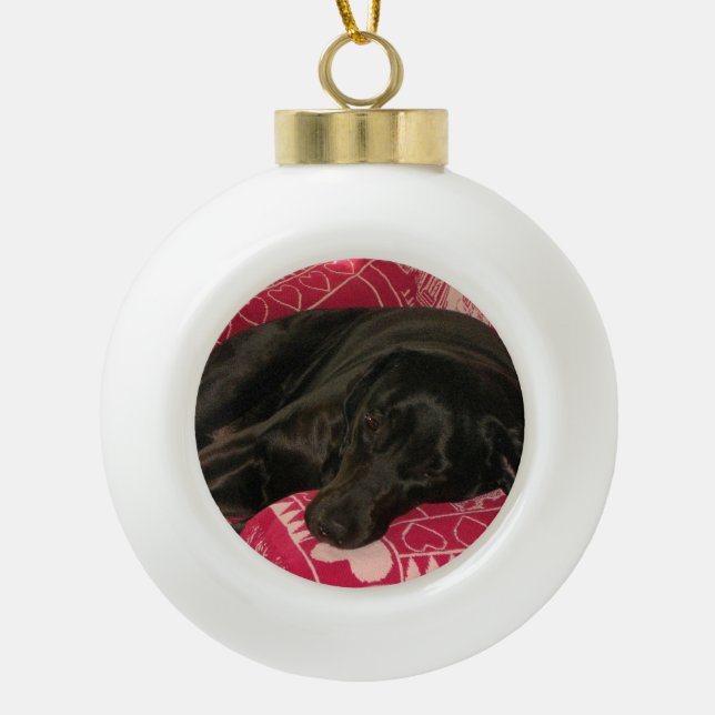 Sleepy Dog Ball Ornament (Front)