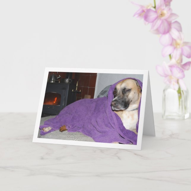 Sleepy Dog by Fireplace Card (Orchid)