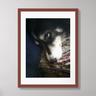 Sleepy Dog Framed Art