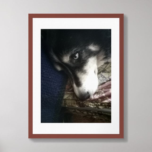Sleepy Dog Framed Art (Framed Front)