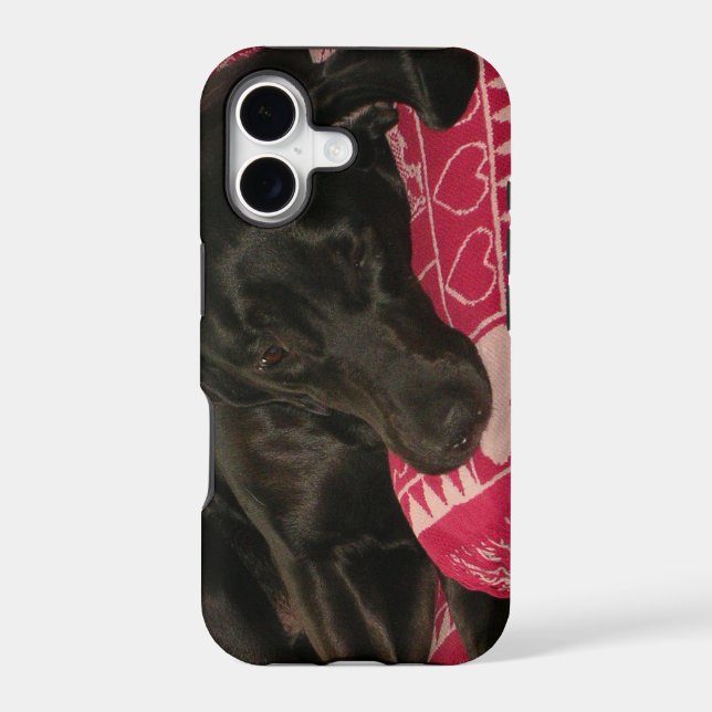 Sleepy Dog iPhone 5 Case (Back)