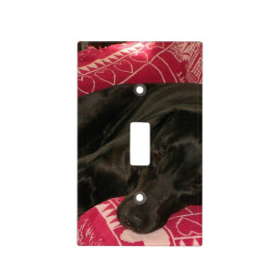 Sleepy Dog Light Switch Cover