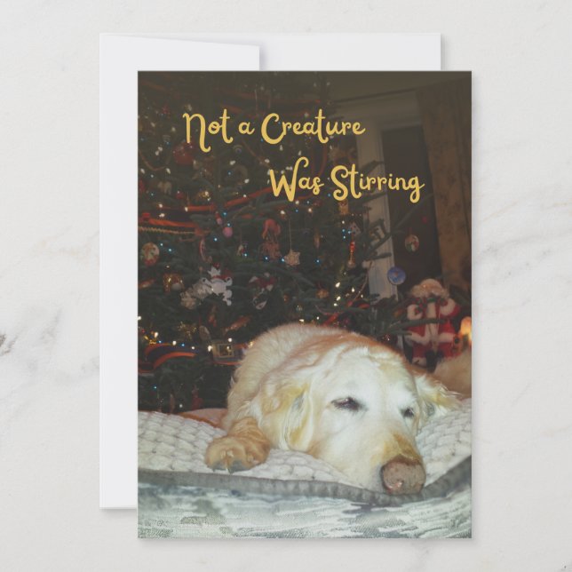 Sleepy Dog Not a Creature was Stirring Christmas Holiday Card (Front)
