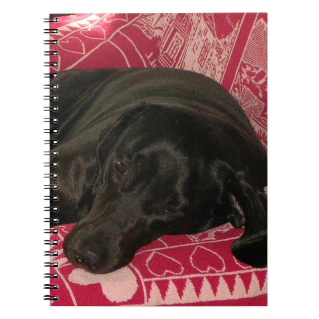 Sleepy Dog Notebook (Front)