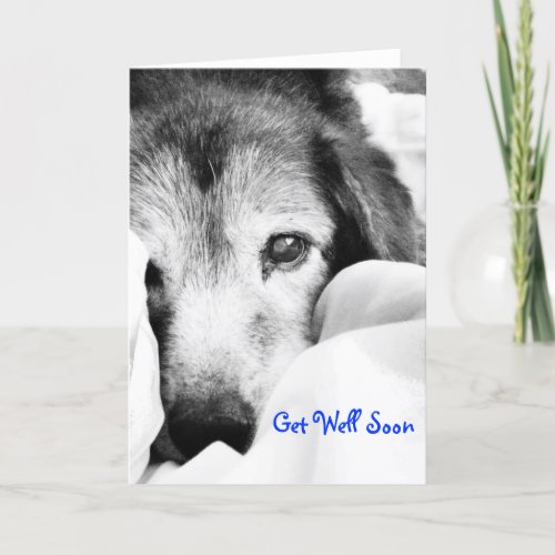 sleepy dog on bed cuddle black white card