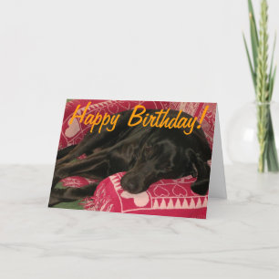Sleepy Dog "Party til you're POOPED" Birthday Card