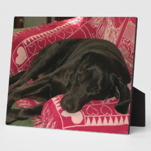 Sleepy Dog Plaque