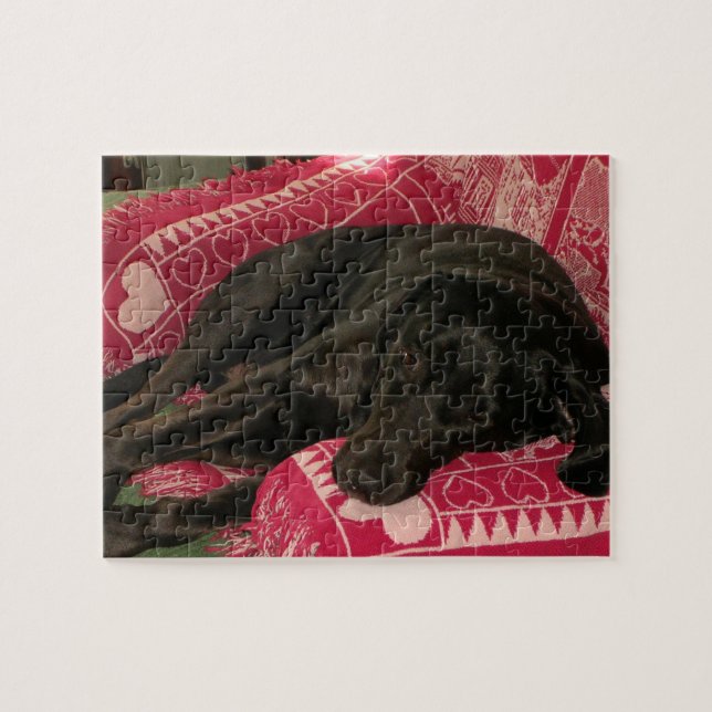 Sleepy Dog Puzzle (Horizontal)