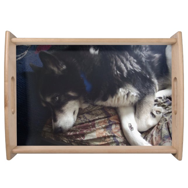 Sleepy Dog Serving Tray (Front)