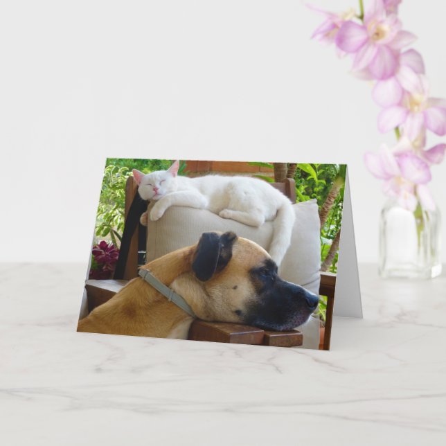 Sleepy Dog Sleeping Kitten Card (Orchid)