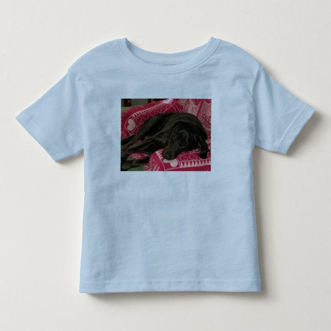 Sleepy Dog Toddlers Ringer T-Shirt (Front)