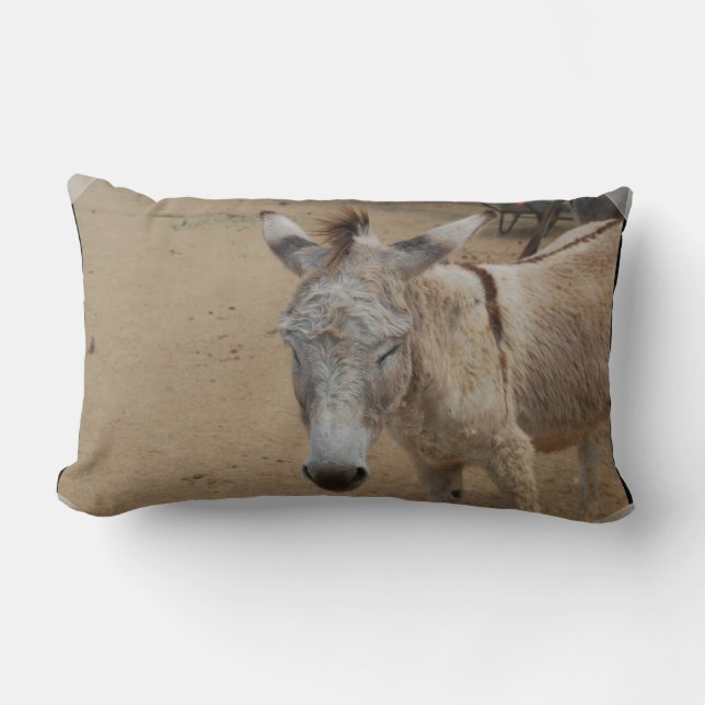 Sleepy Donkey Lumbar Pillow (Front)