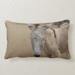 Sleepy Donkey Lumbar Pillow