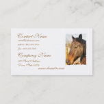 Sleepy Draft Horse Business Cards