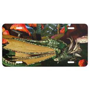 Sleepy Dragon License Plate