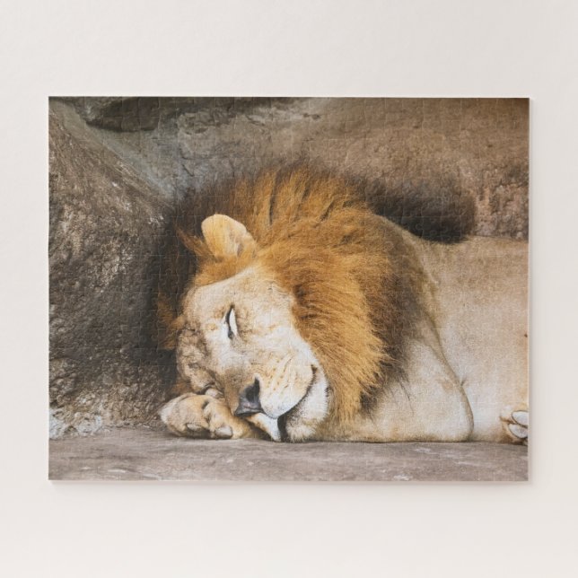 Sleepy Dreaming Adult Lion on Rocks Jigsaw Puzzle (Horizontal)