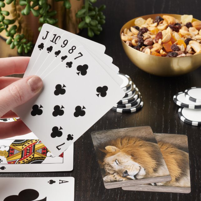 Sleepy Dreaming Adult Lion on Rocks Poker Cards (In Situ)