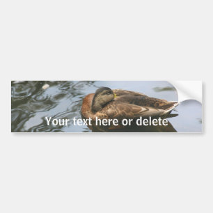 Sleepy Duck Nature Personalized Bumper Sticker
