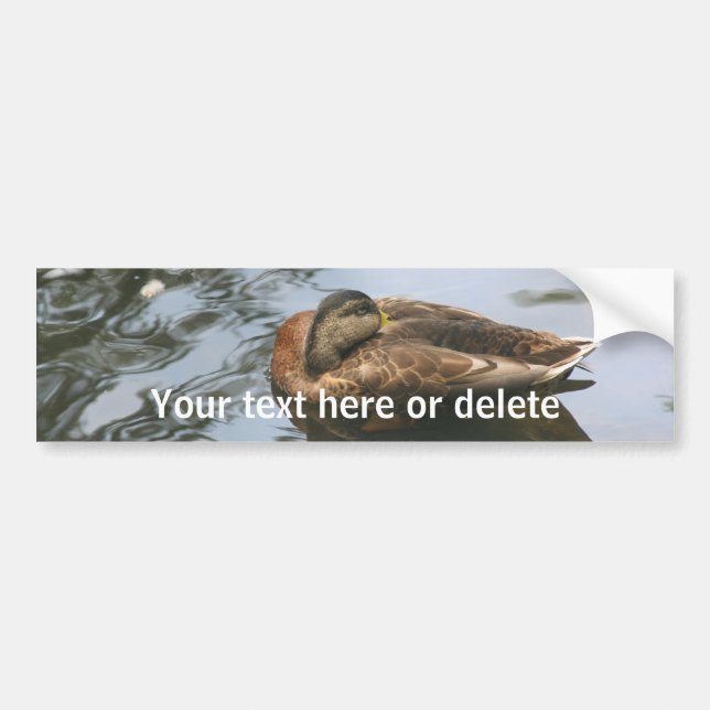 Sleepy Duck Nature Personalized Bumper Sticker (Front)