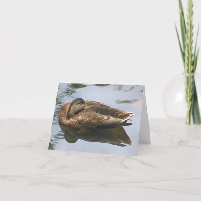Sleepy Duck Nature Photography Note Card (Front)