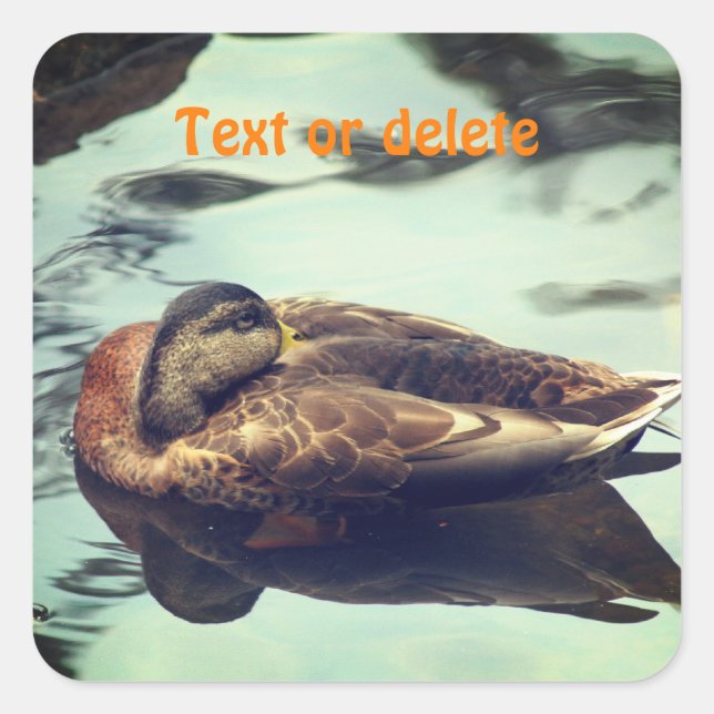 Sleepy Duck Personalized Nature  Square Sticker (Front)