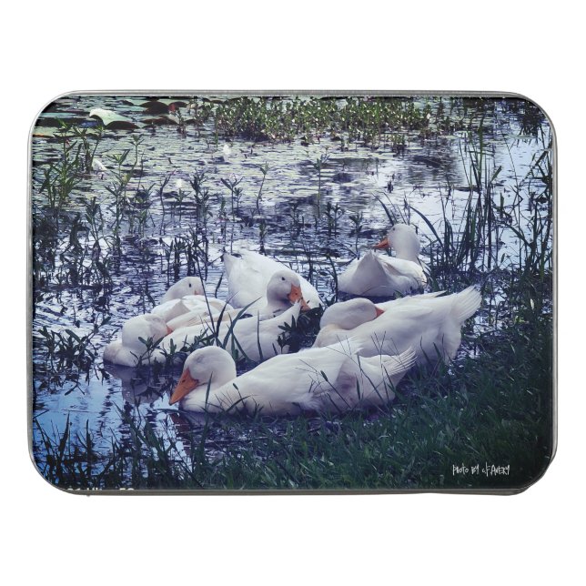 Sleepy Ducks Pond Animals  Jigsaw Puzzle (Case Horizontal)