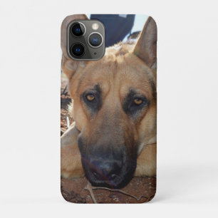 Sleepy Entilment: Young Alsatian Shepherd Dog, iPhone 11 Pro Case