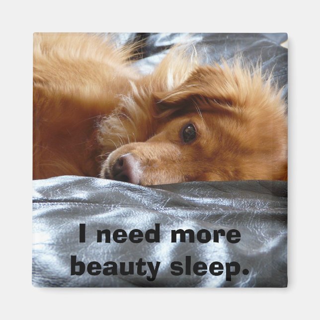 Sleepy Eyed Dog Magnet (Front)