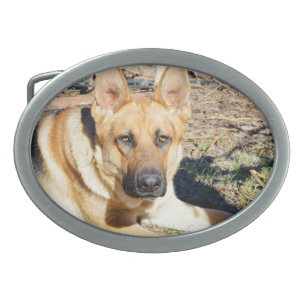 Sleepy Eyed German Shepherd, Belt Buckle