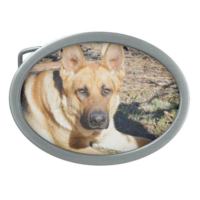 Sleepy Eyed German Shepherd, Belt Buckle (Front)