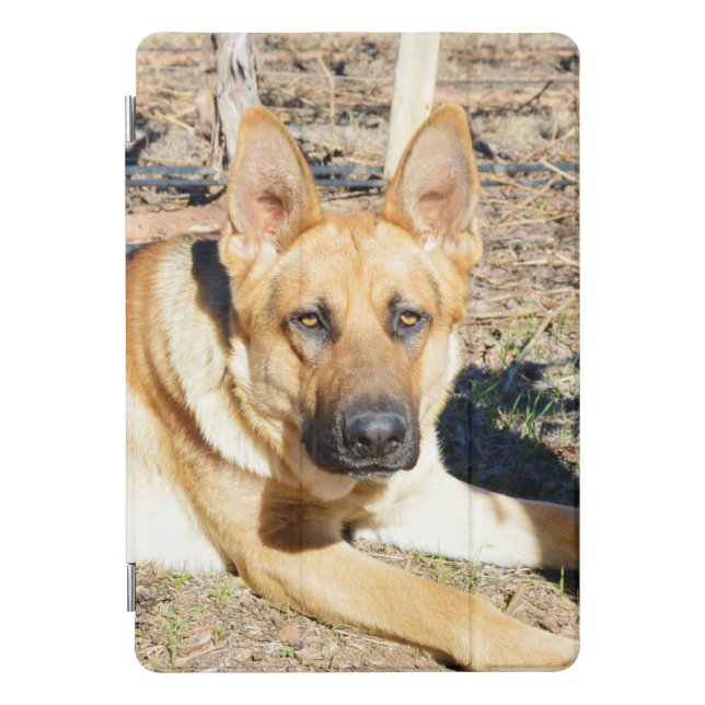 Sleepy Eyed German Shepherd, iPad Case (Front)