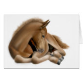 Sleepy Foal Card (Front Horizontal)
