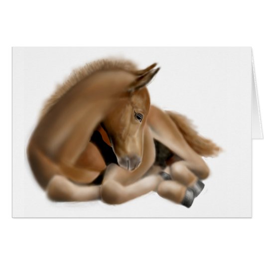 Sleepy Foal Card (Front Horizontal)