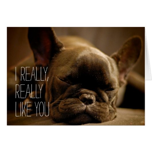 Sleepy French Bulldog Cards (Front Horizontal)