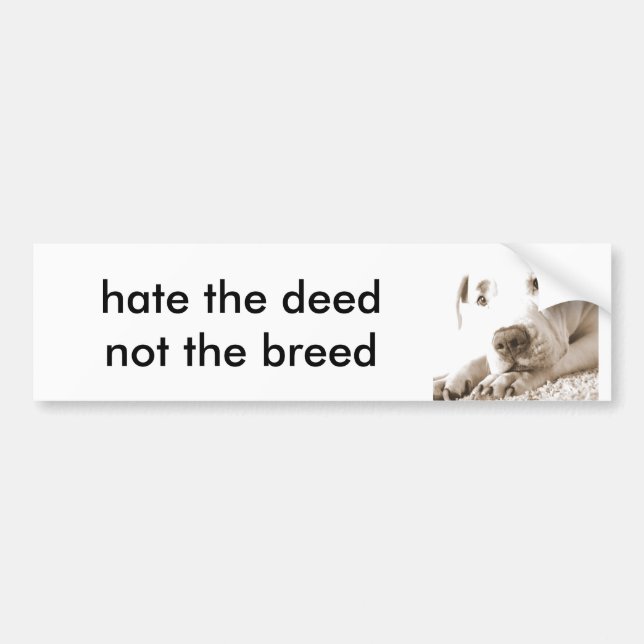 sleepy friendly white pitbull hate deed not breed bumper sticker (Front)