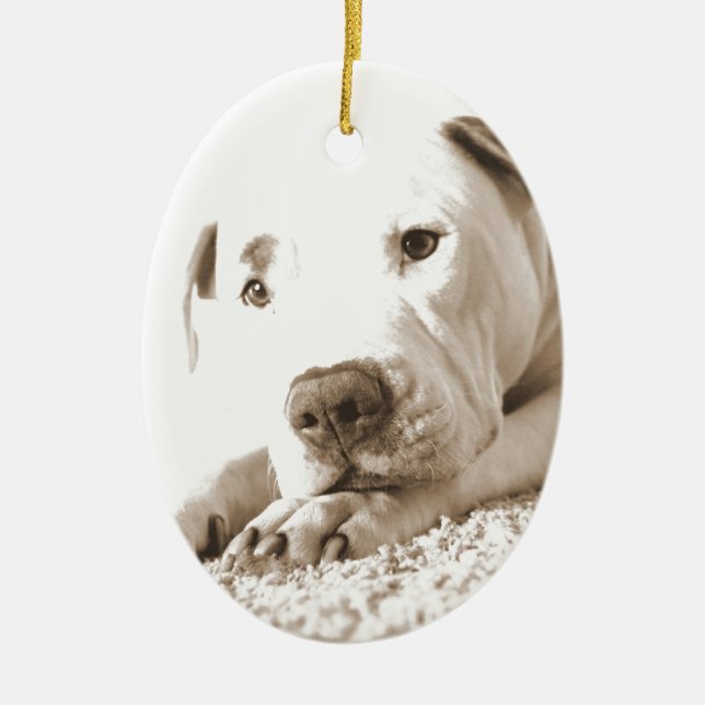 sleepy friendly white pitbull hate deed not breed ceramic ornament (Front)