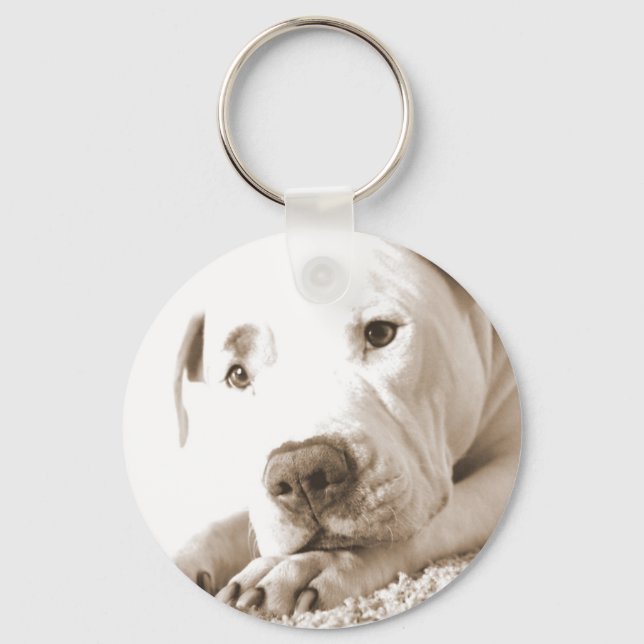 sleepy friendly white pitbull hate deed not breed keychain (Front)